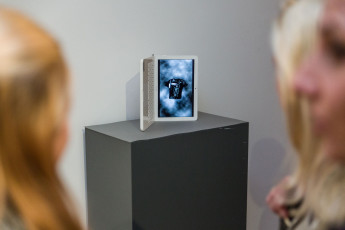 Vernissage Ausstellung "Follow The Unknown"